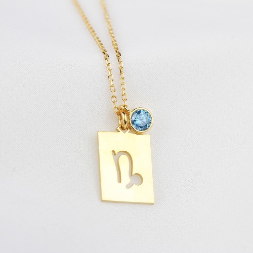 Glorria 925k Sterling Silver Personalized Capricorn Sterling Silver Necklace with Birth Stone Glorria 925k Sterling Silver Personalized Capricorn Sterling Silver Necklace with Birth Stone