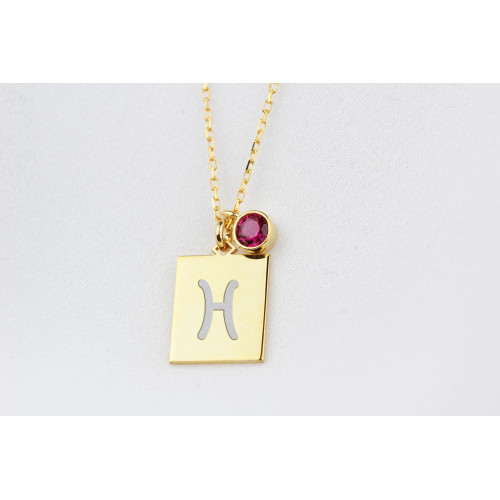 Glorria 925k Sterling Silver Personalized Birthstone Pisces Sterling Silver Necklace Glorria 925k Sterling Silver Personalized Birthstone Pisces Sterling Silver Necklace