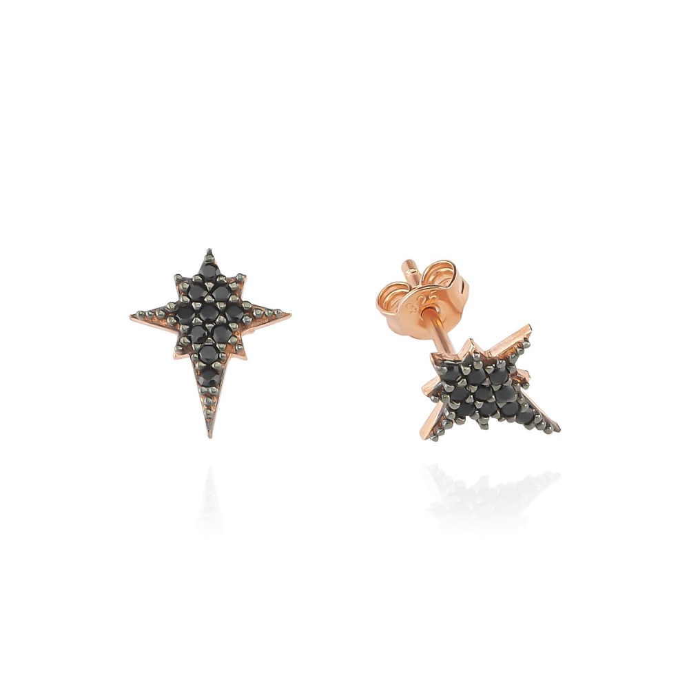 Glorria 925k Sterling Silver Polar Star Earring