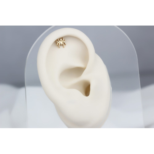 Glorria 14k Solid Gold Spider Helix Piercing Glorria 14k Solid Gold Spider Helix Piercing
