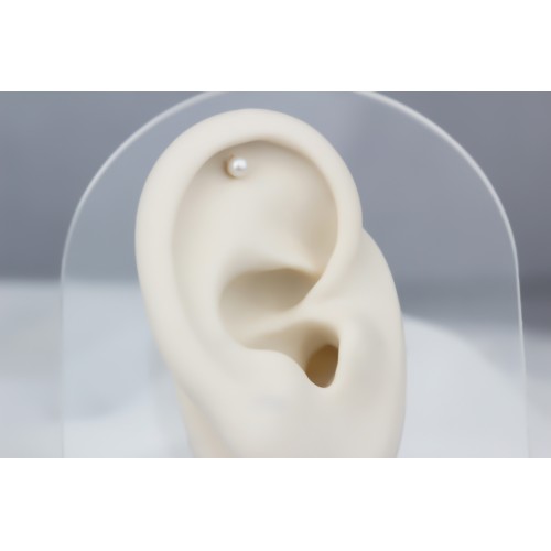 Glorria 14k Solid Gold Pearl Helix Piercing Glorria 14k Solid Gold Pearl Helix Piercing
