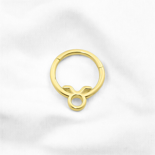 Glorria 14k Solid Gold Taurus Ring Helix Piercing Glorria 14k Solid Gold Taurus Ring Helix Piercing
