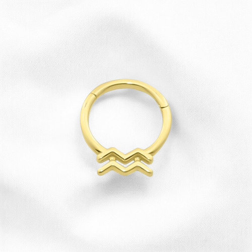 Glorria 14k Solid Gold Aquarius Ring Helix Piercing Glorria 14k Solid Gold Aquarius Ring Helix Piercing