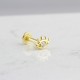 Glorria 14k Solid Gold Eye Tragus Piercing