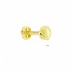 Glorria 14k Solid Gold Shell Tragus Piercing