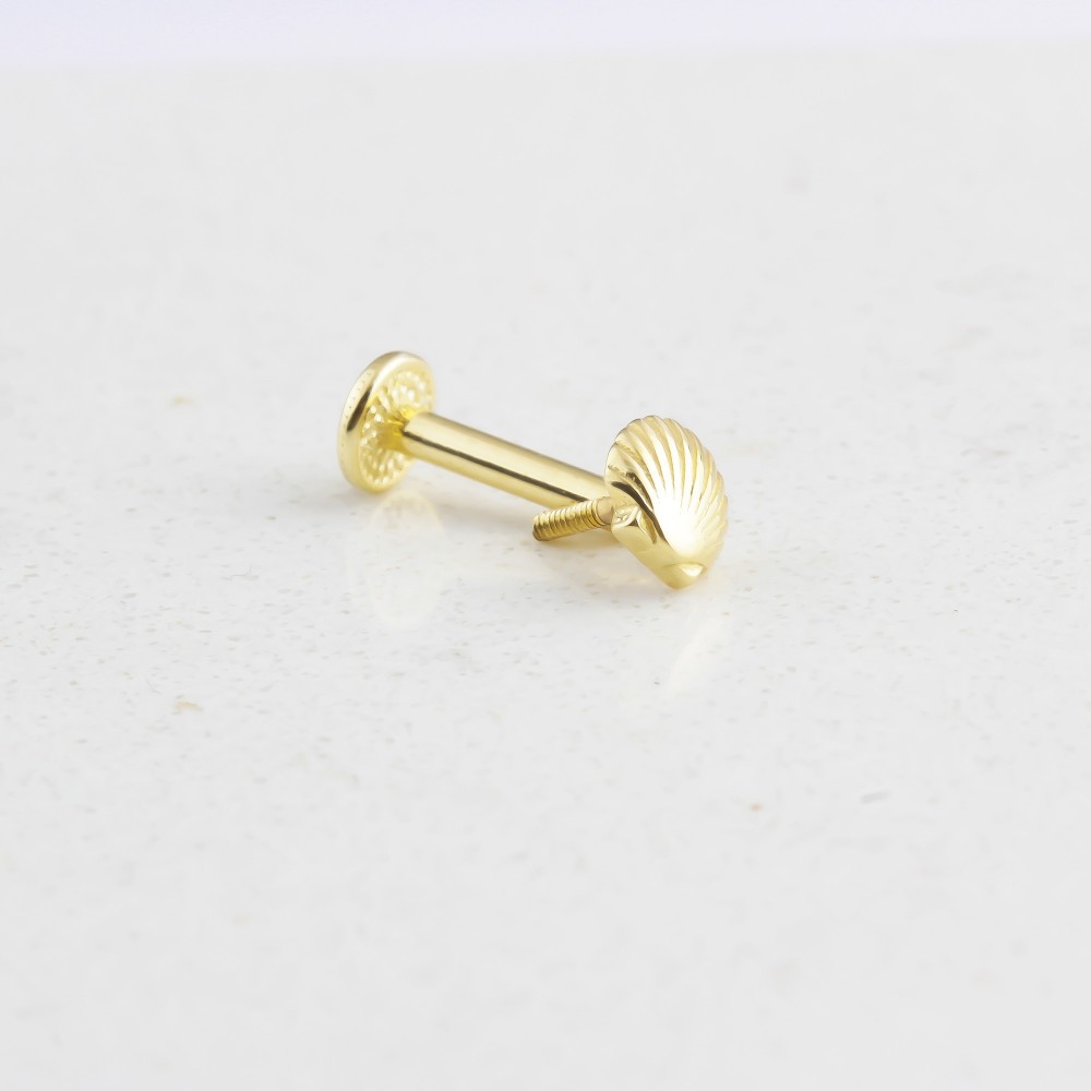 Glorria 14k Solid Gold Shell Tragus Piercing