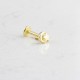 Glorria 14k Solid Gold Moon Star Tragus Piercing