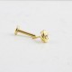 Glorria 14k Solid Gold Tragus Piercing