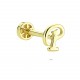 Glorria 14k Solid Gold Letter P Tragus Piercing