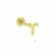 Glorria 14k Solid Gold Aries Tragus Piercing